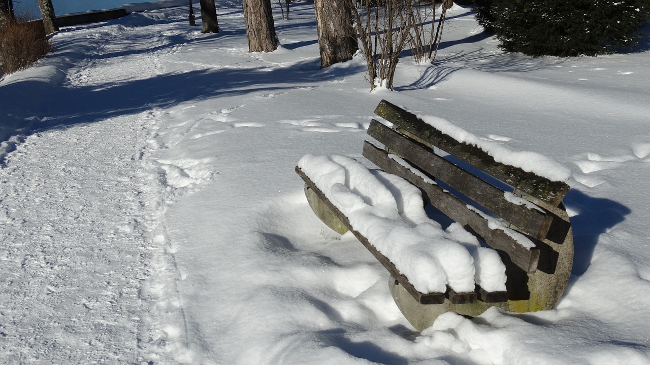 park bench winter snow free photo