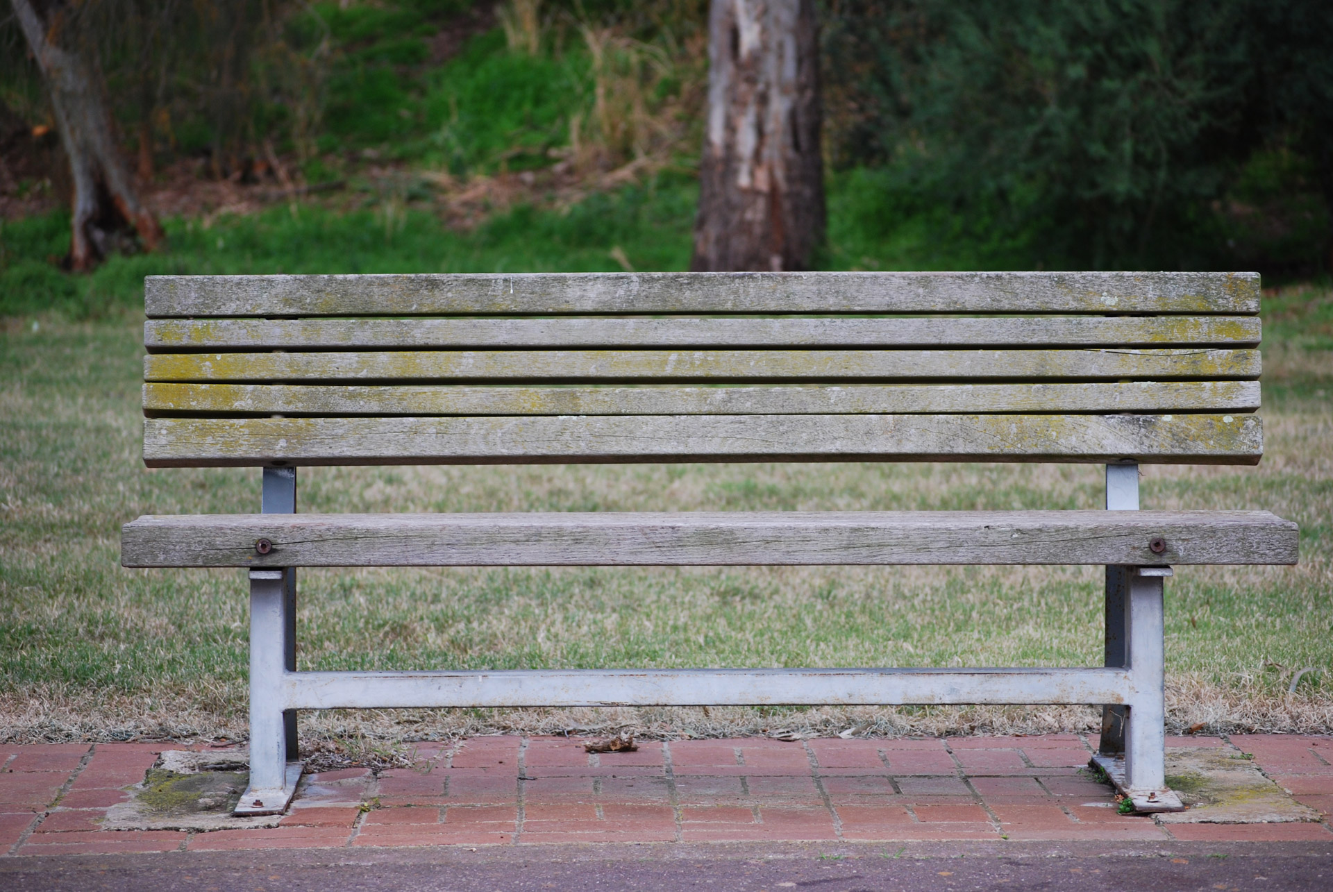 Download free photo of Park bench,australia,park bench,free pictures, free  photos - from 