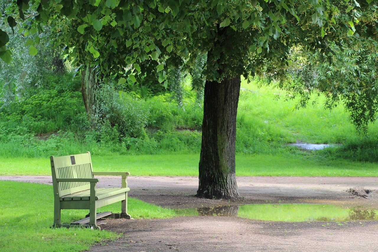 park bench park rest free photo