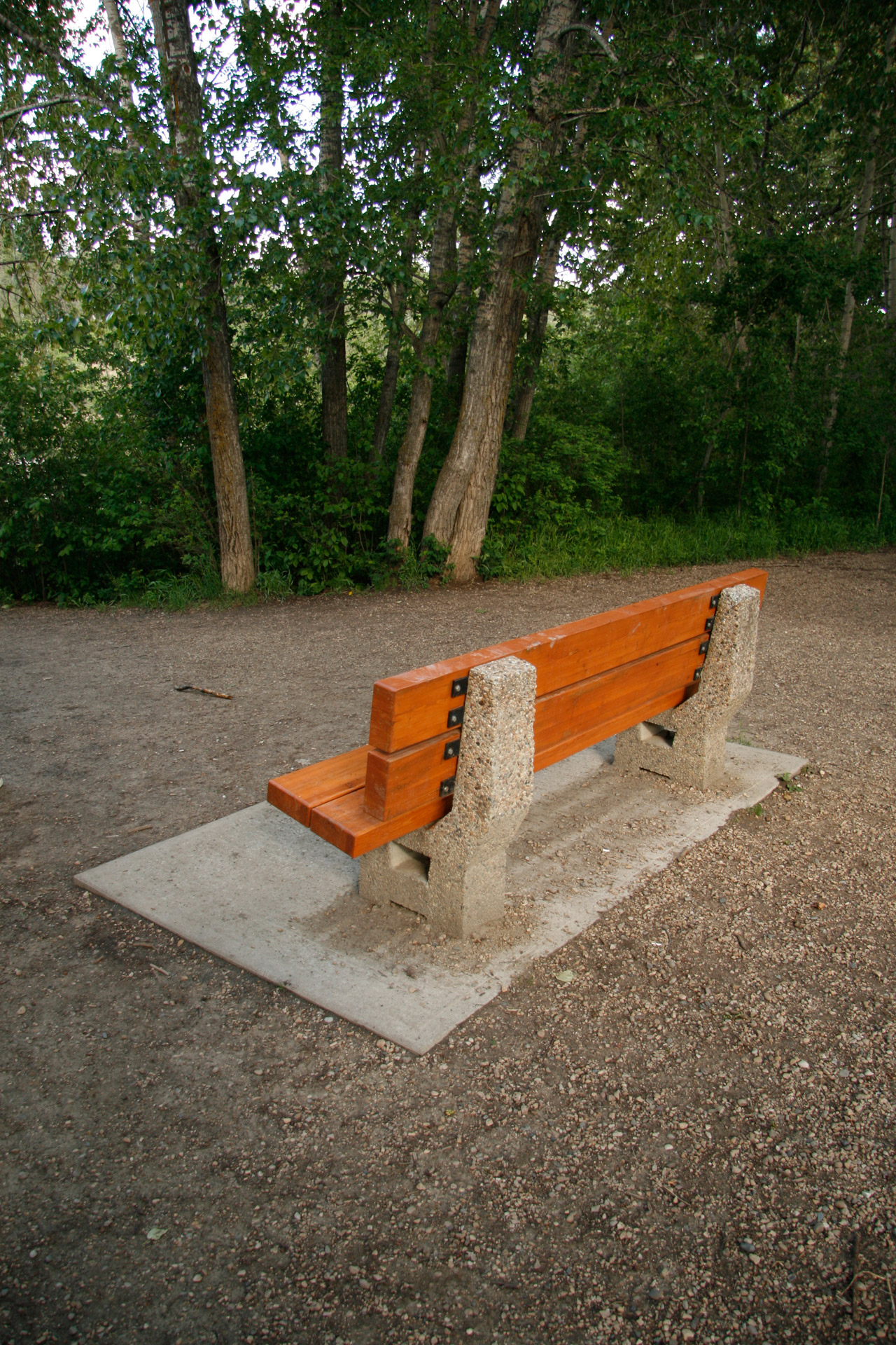 park bench woods free photo