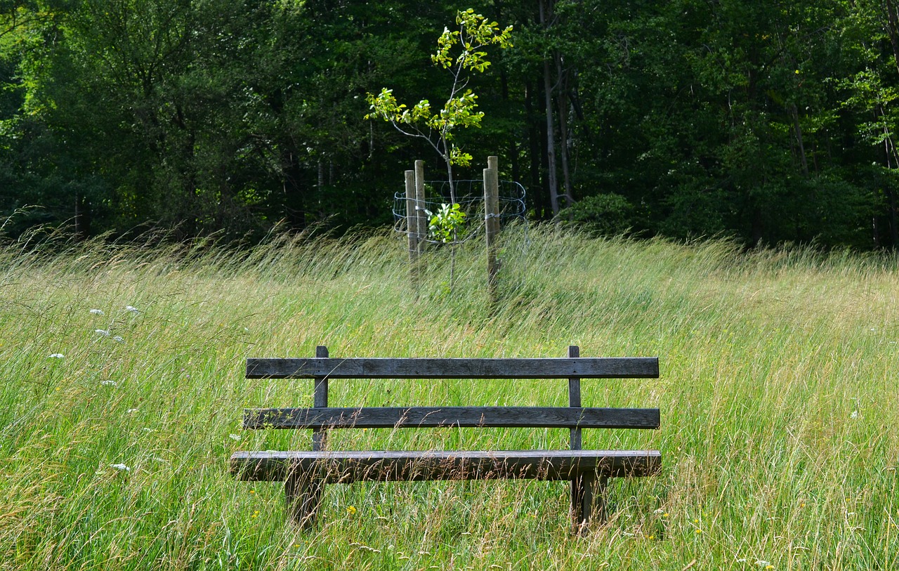 park bench grass sit free photo