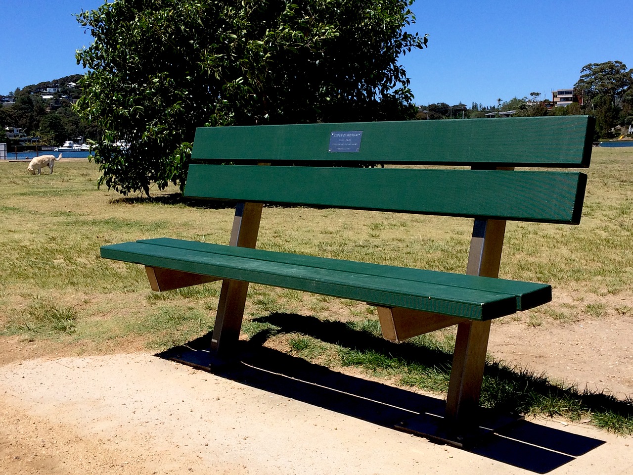 park bench bench park free photo