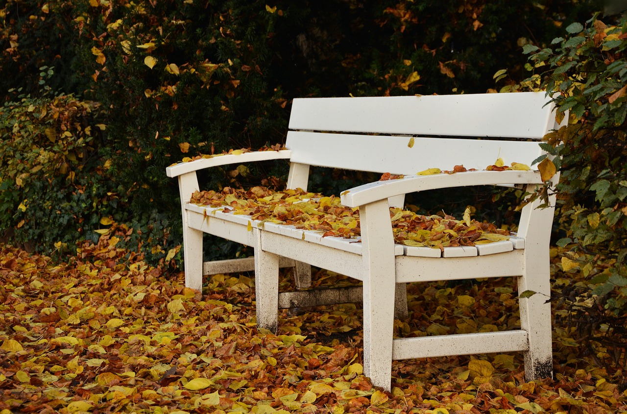 park bench autumn leaf fall free photo