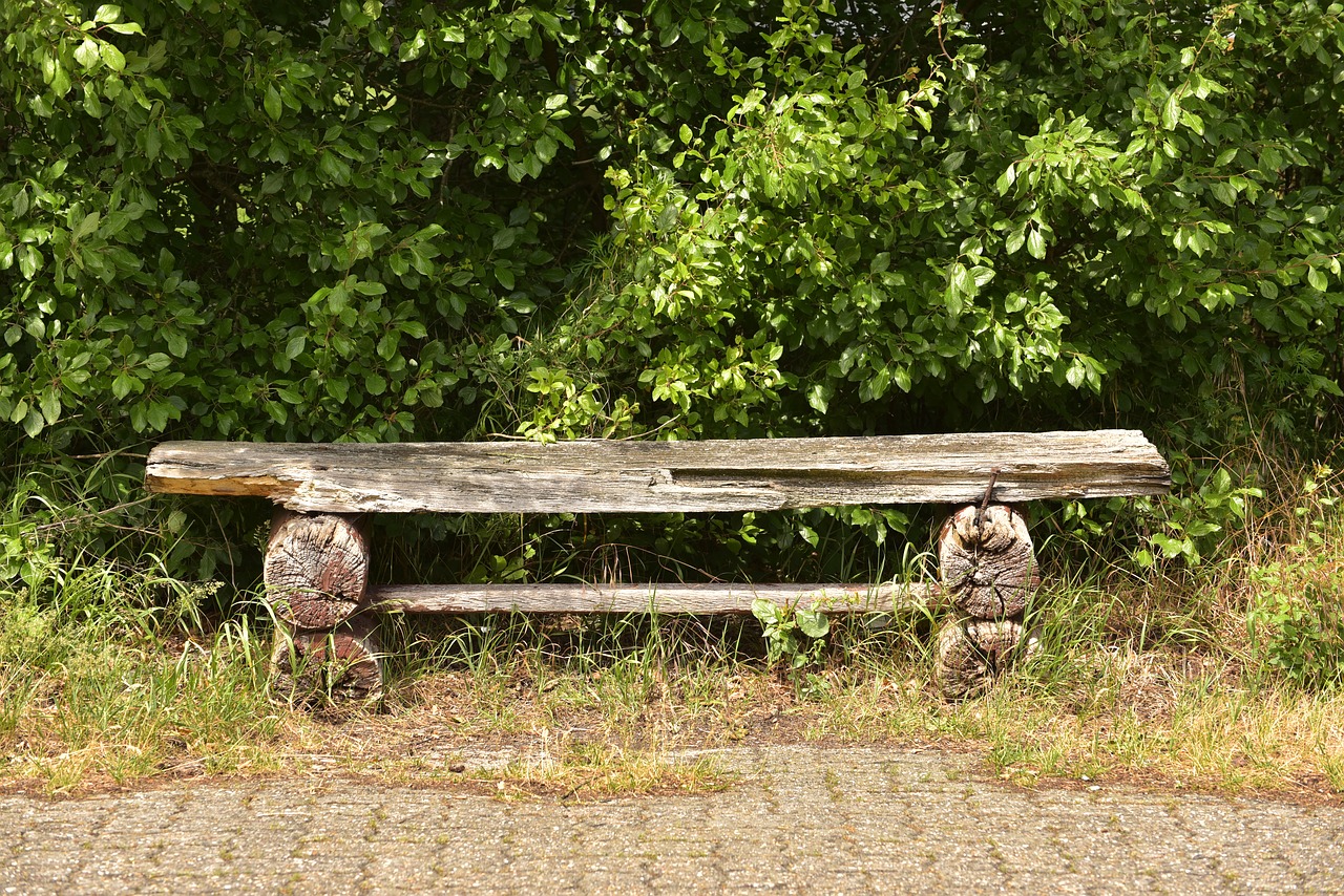 park bench bank old free photo