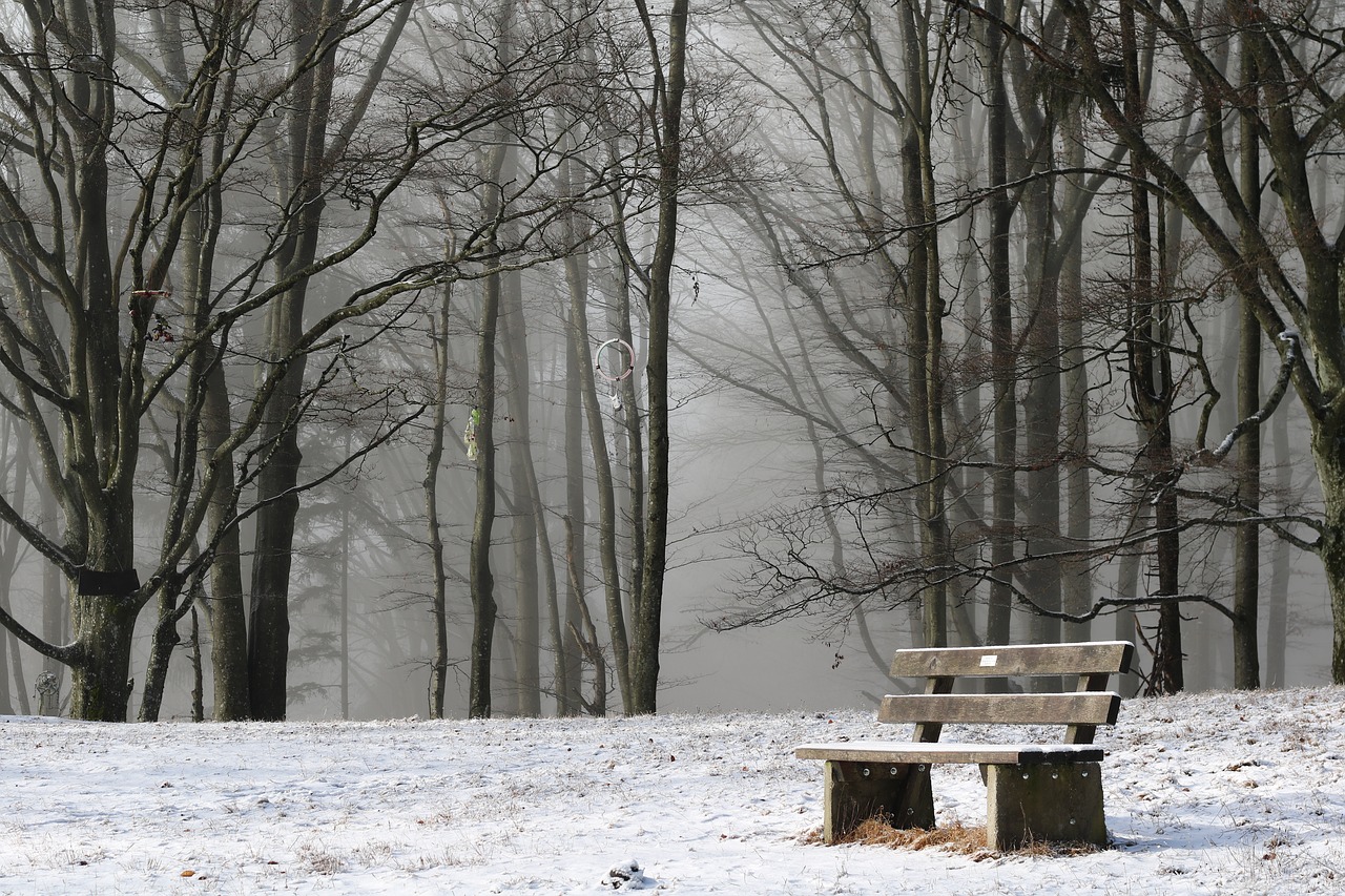 park bench loneliness forest fog free photo