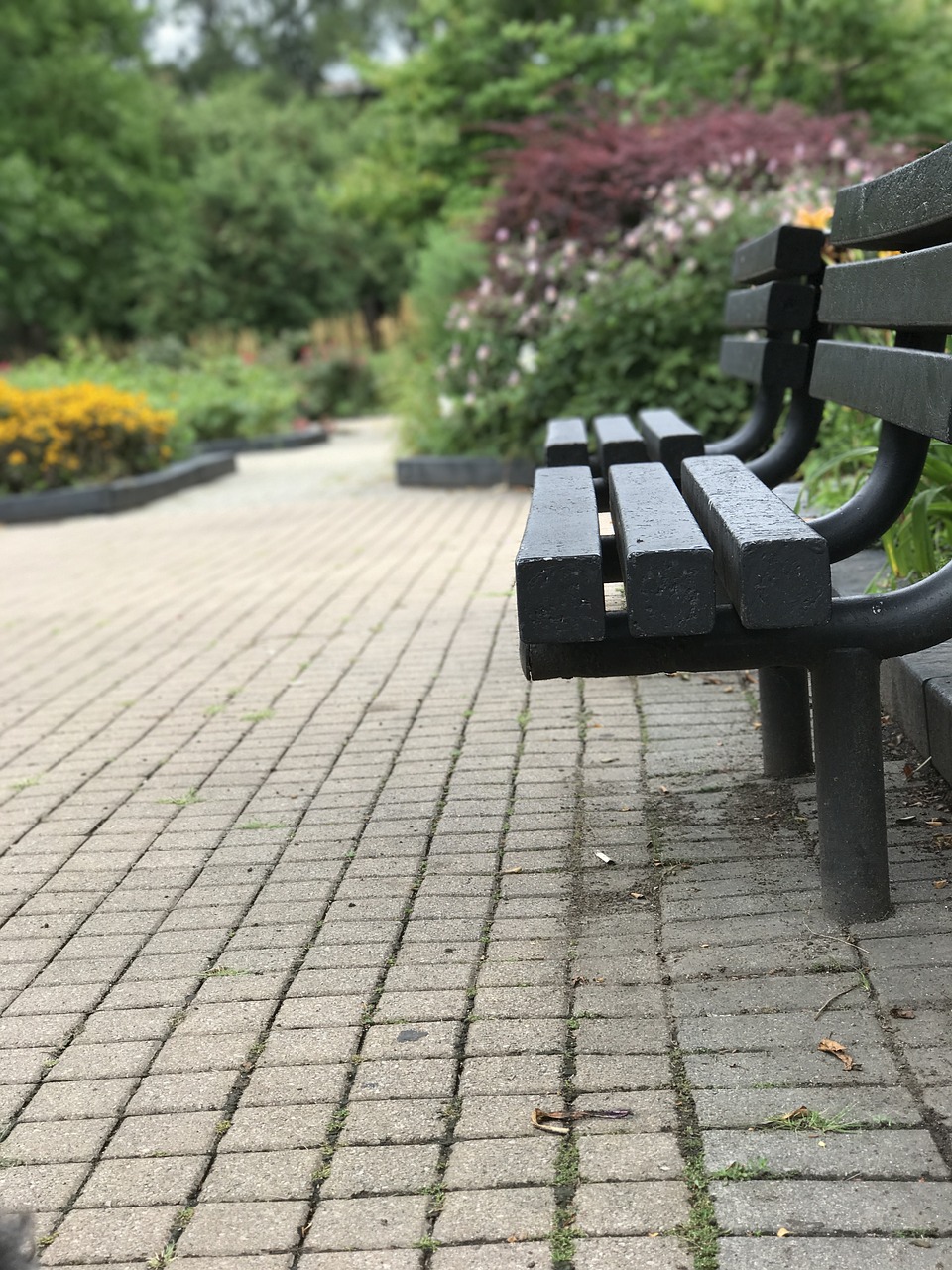 park bench hyde park bench free photo