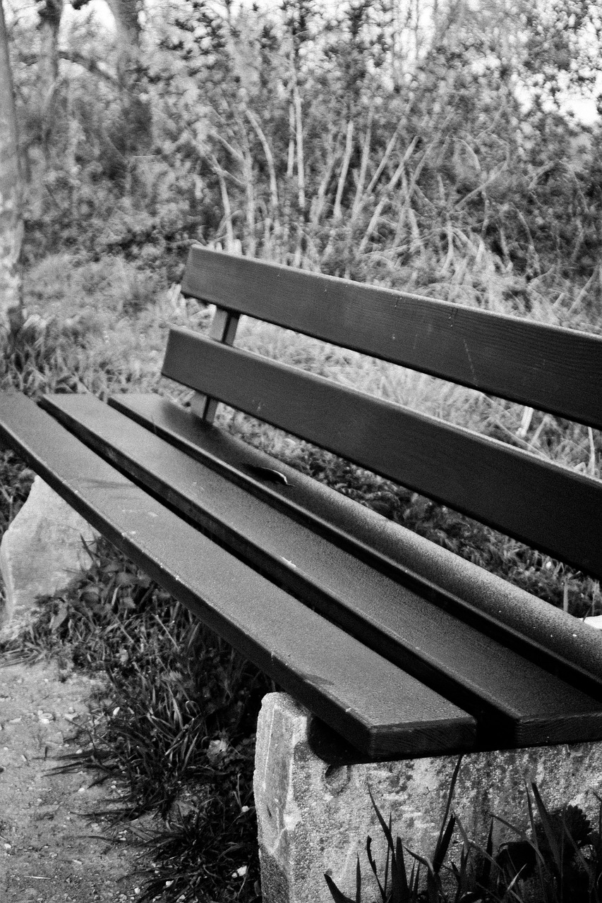 park bench bank seat free photo