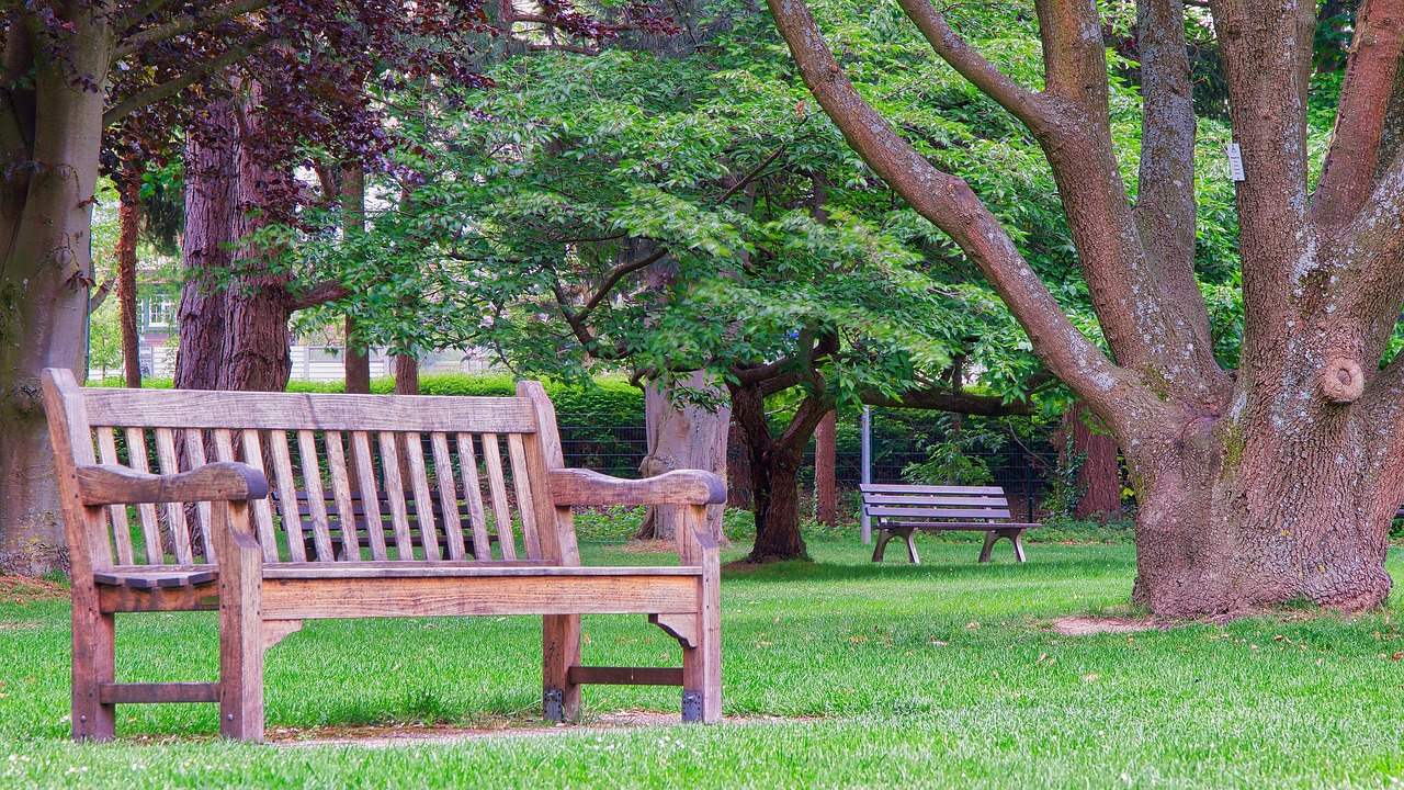 park bench  bank  wood free photo