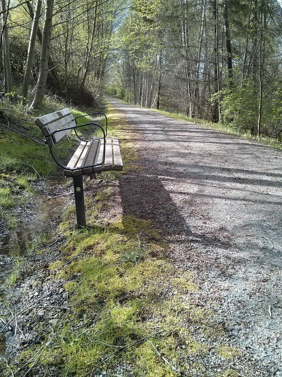 park bench trail spring free photo