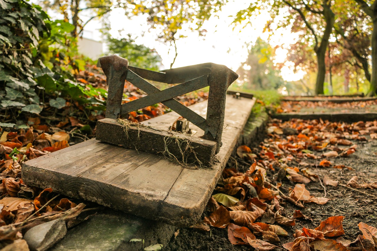 park bench  autumn  melancholic free photo