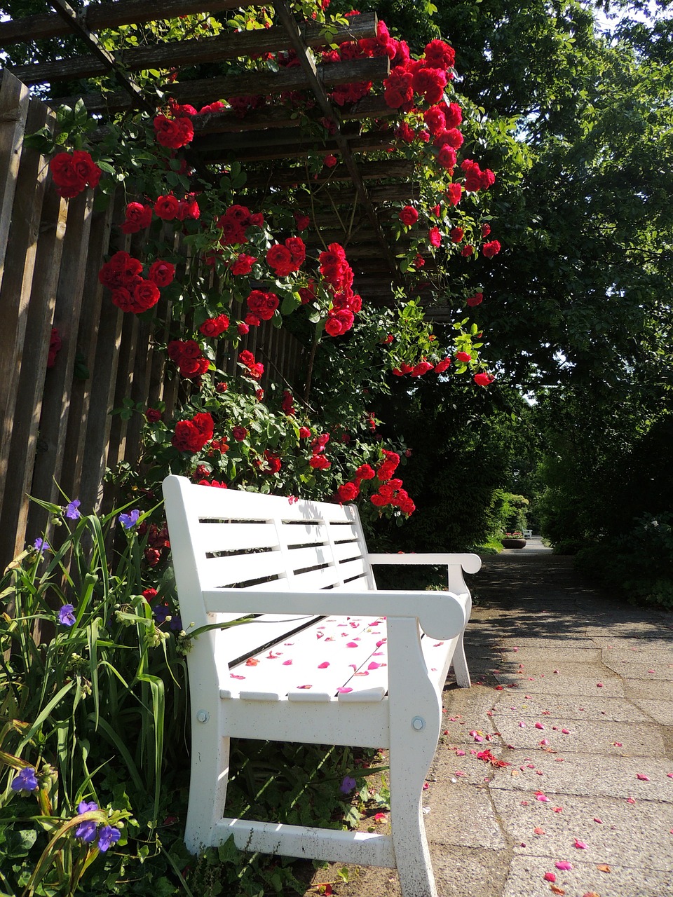 park bench park bench free photo