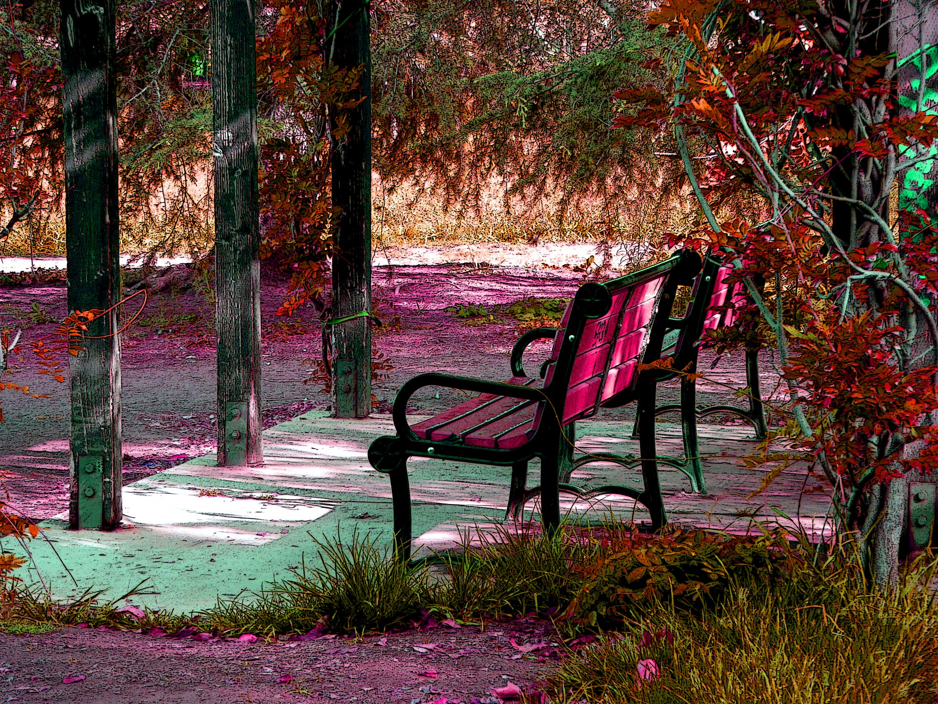 park bench bench fall free photo