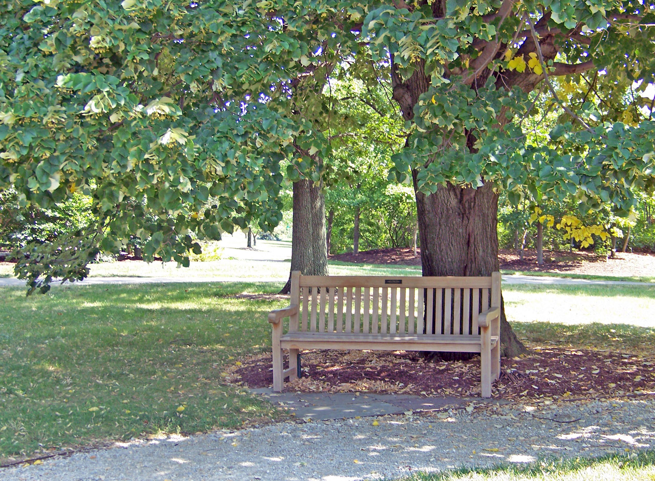 park bench shade free photo