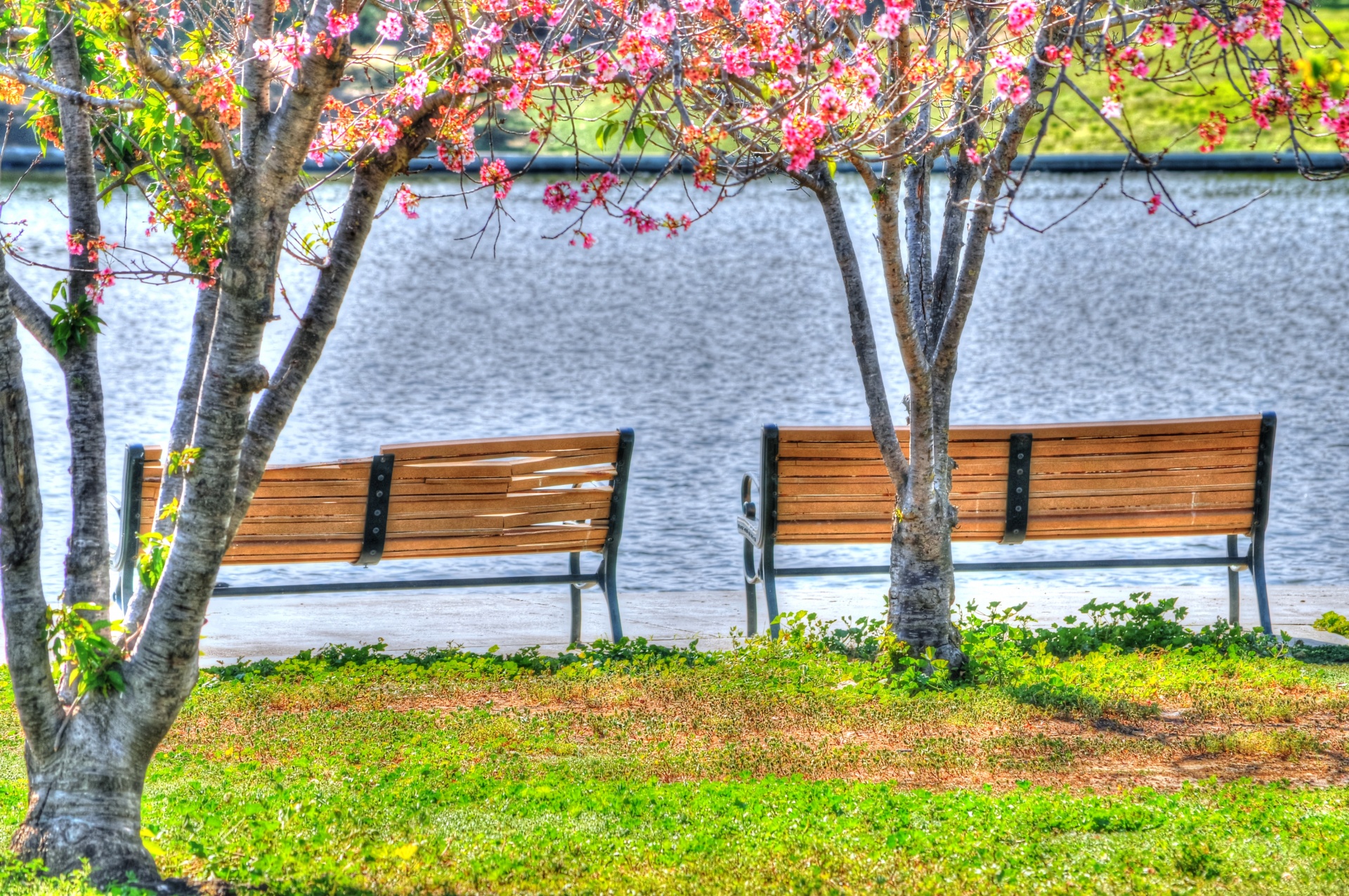 bench sea sit free photo