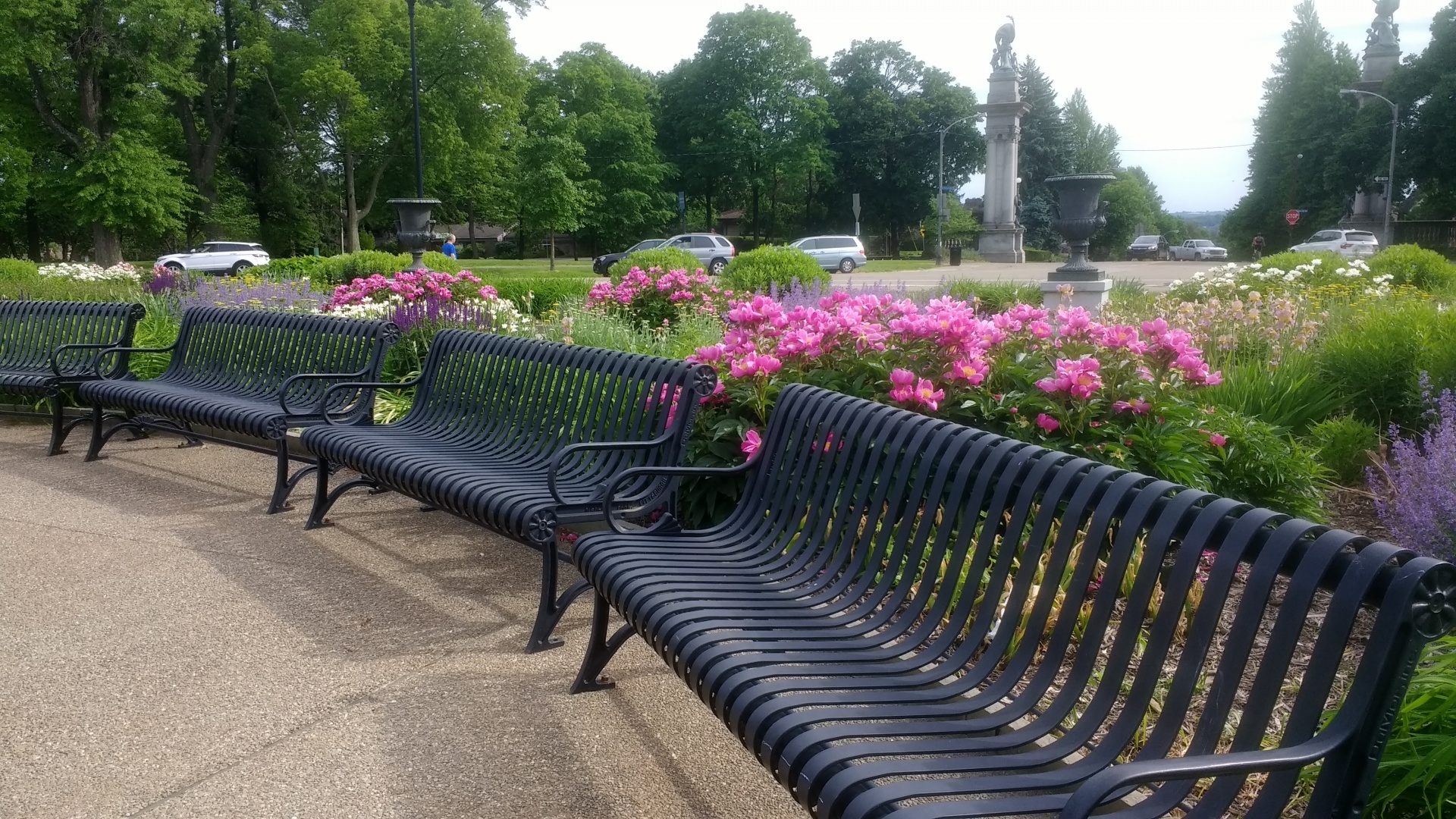 park benches peonies free photo