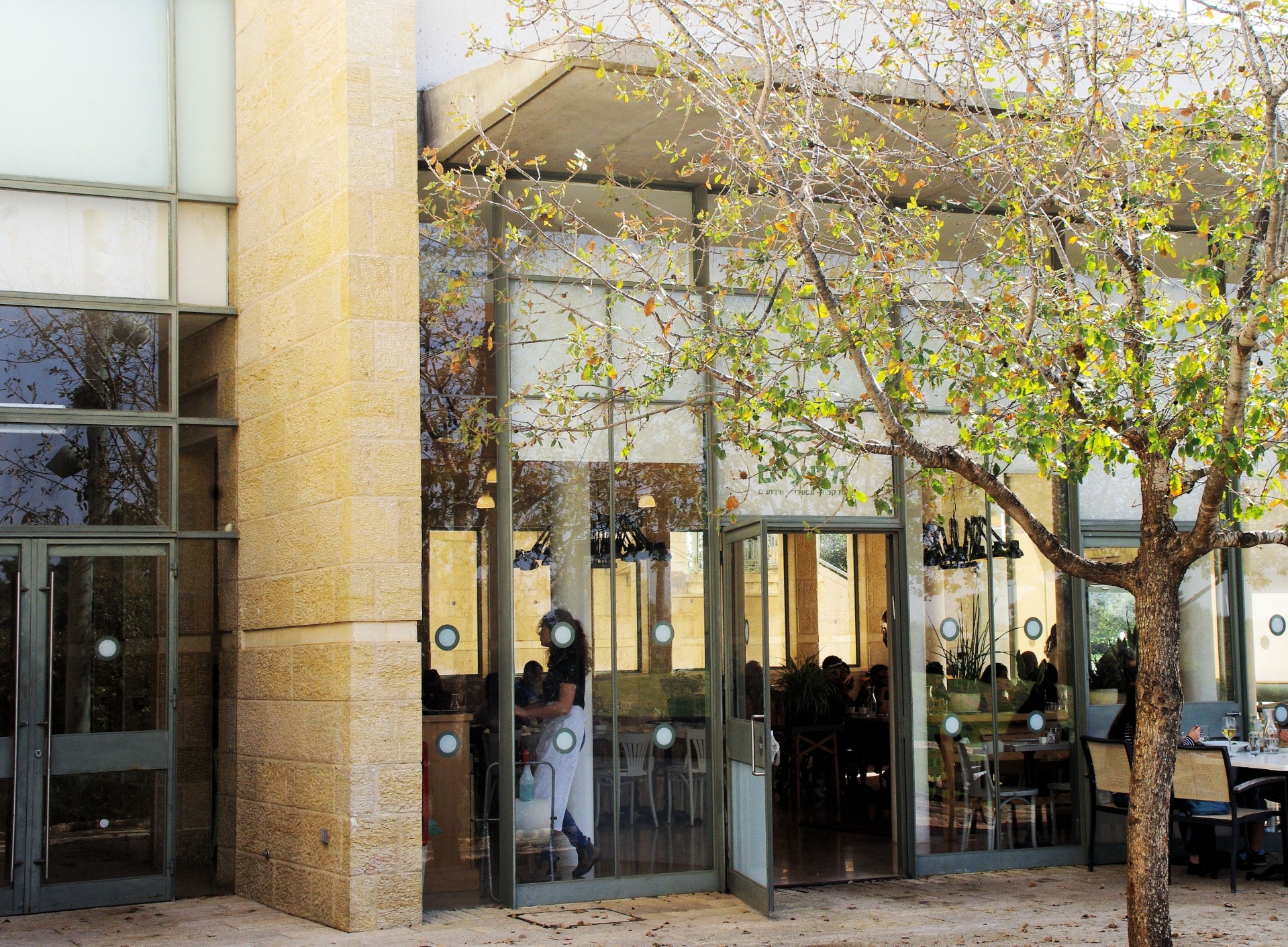 restaurant surround trees free photo