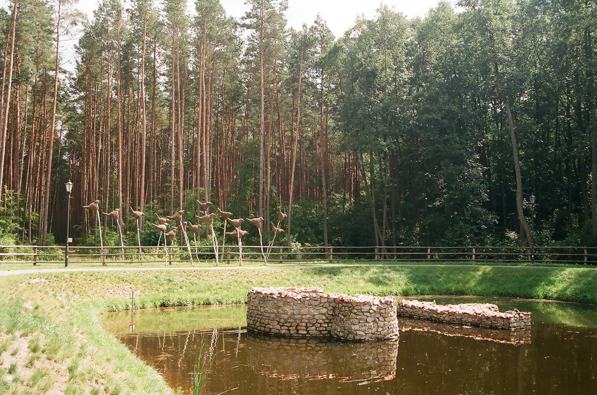 park nature zwierzyniec free photo