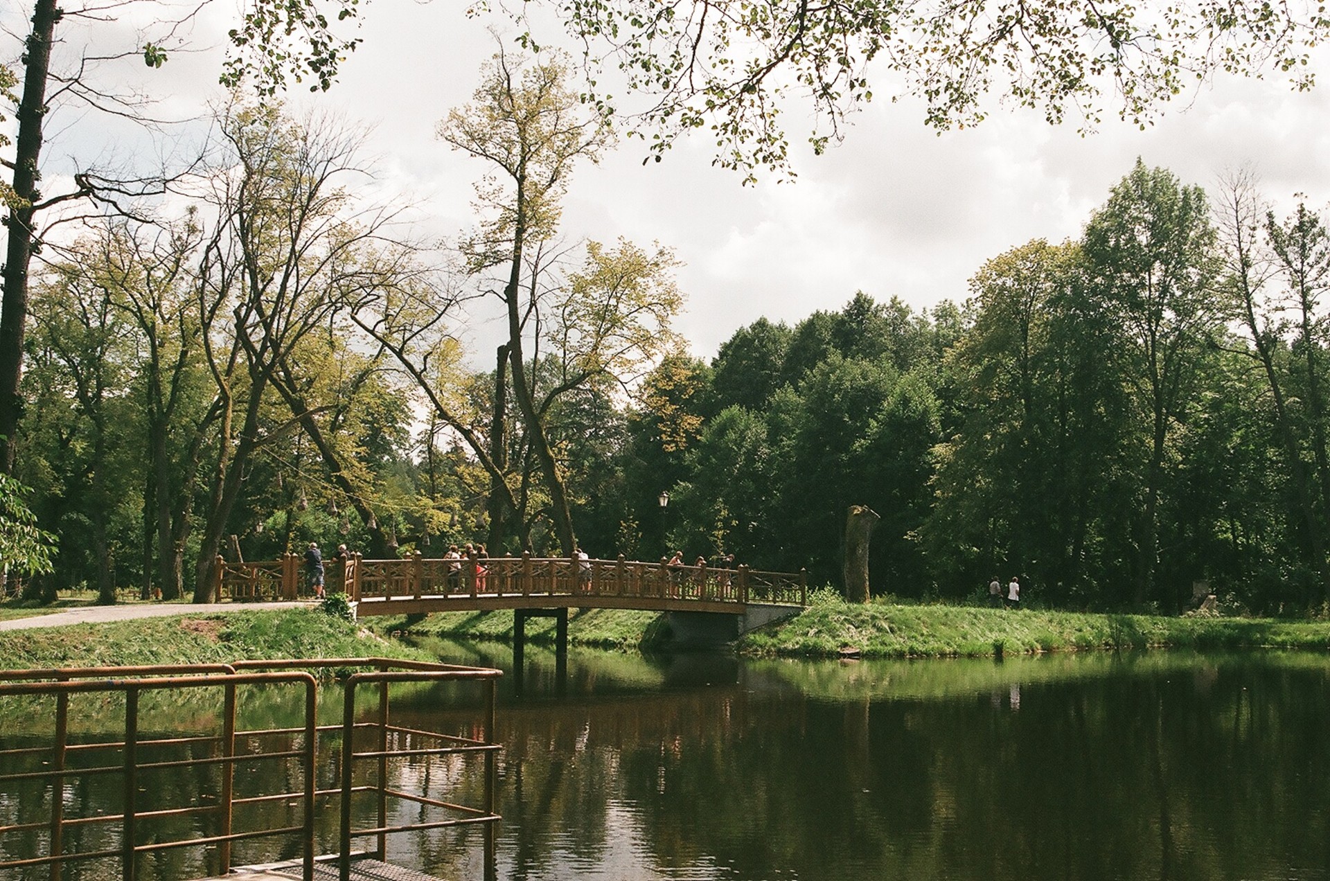 park nature zwierzyniec free photo