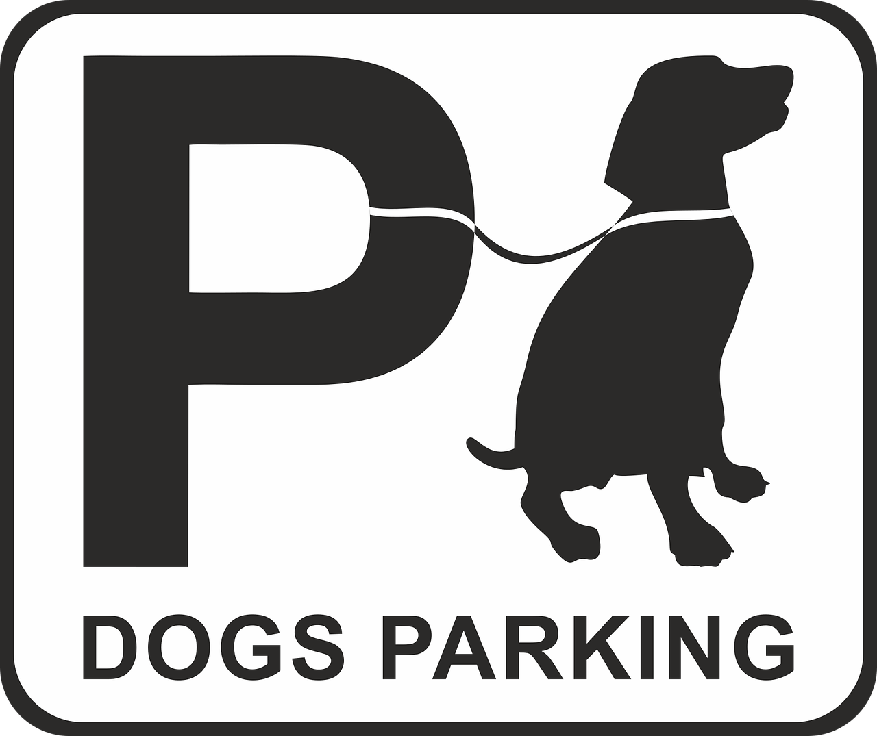 parking dog dog park place free photo