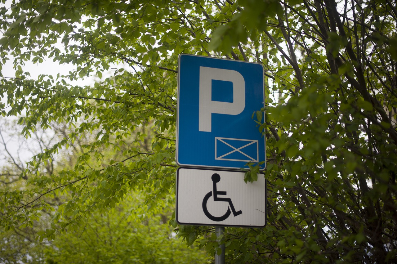 parking  disabled  disability free photo
