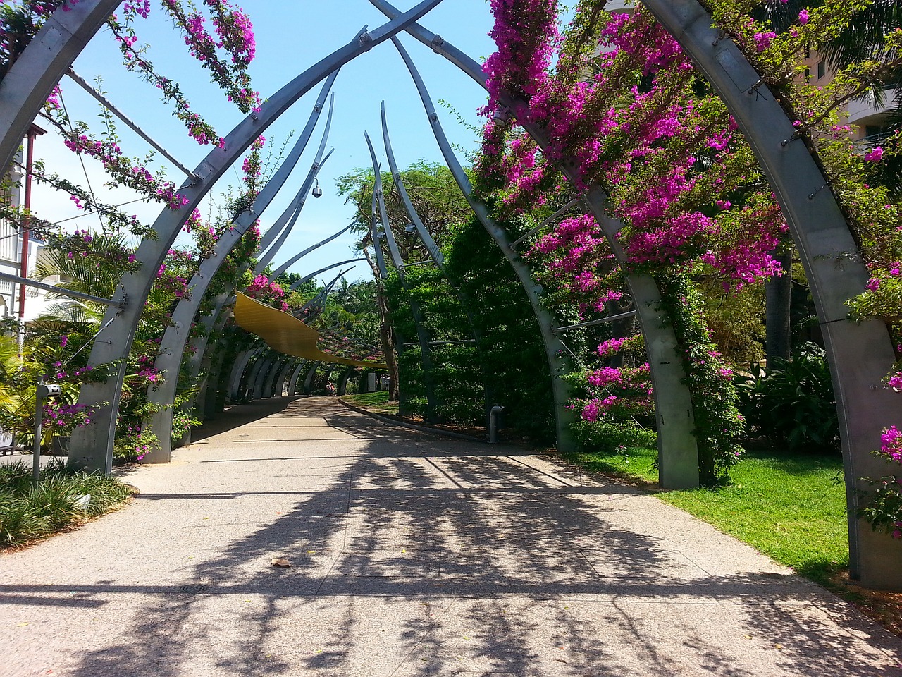 parklands park brisbane free photo