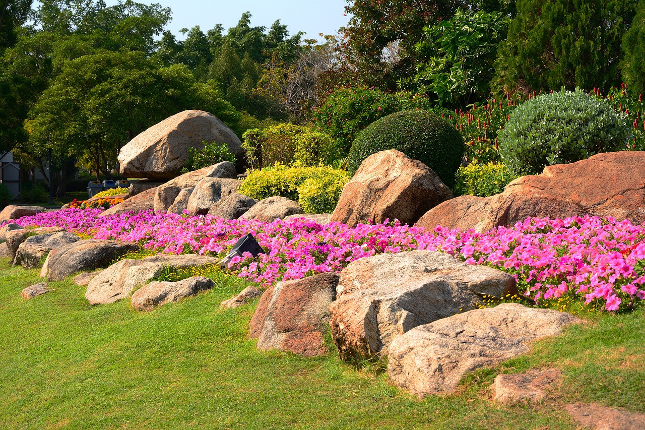 parks flowers suan luang free photo