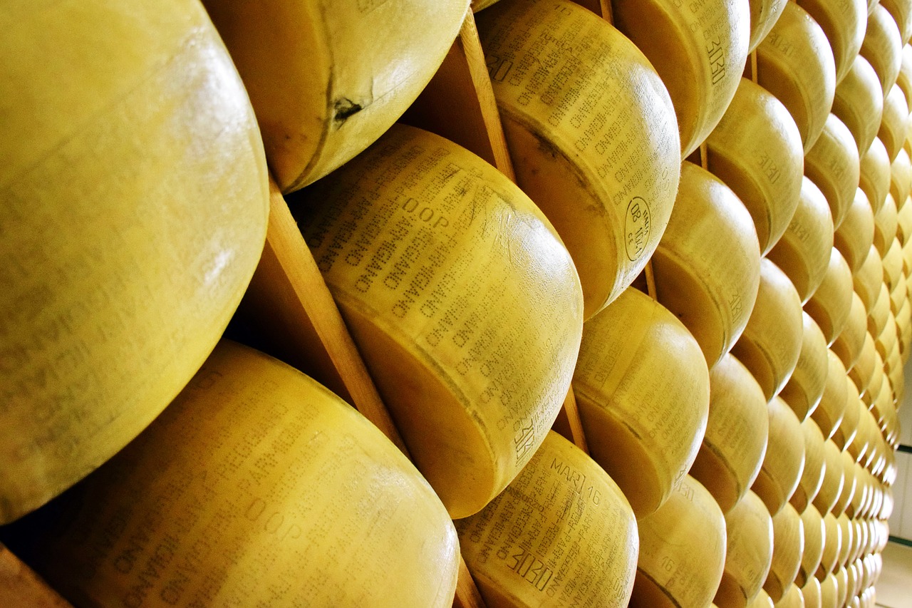 parmigiano reggiano cheese italy free photo