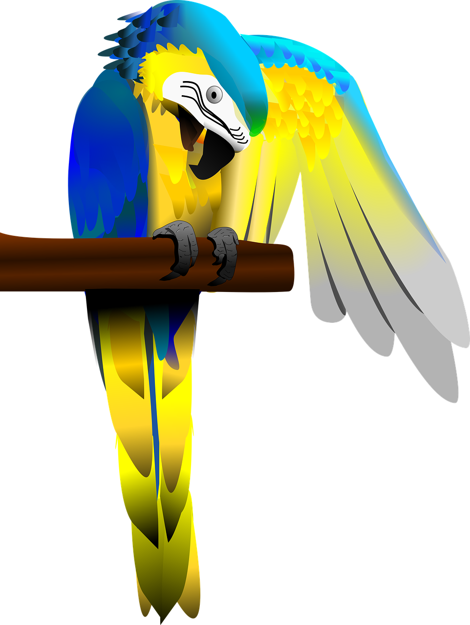 blue and gold macaw parrot macaw free photo