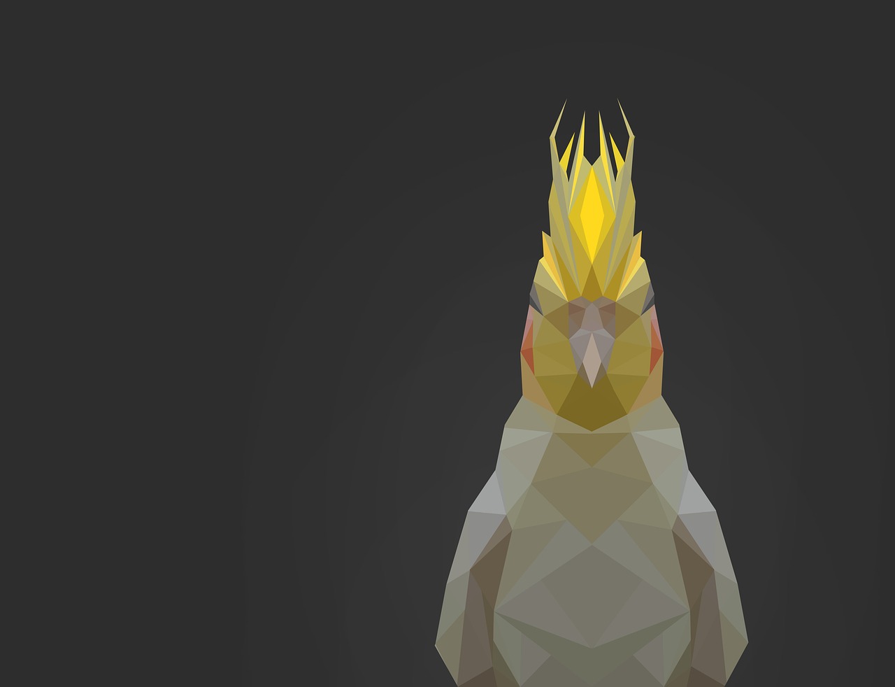 parrot low poly bird free photo