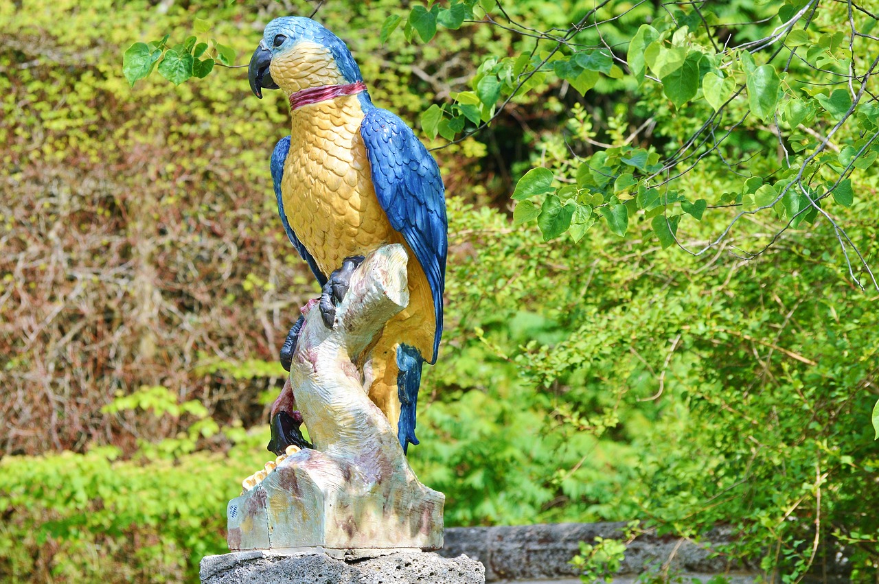 parrot figure deco free photo