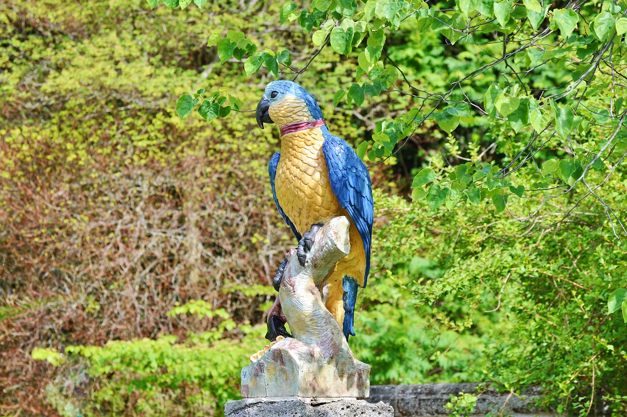 parrot figure deco free photo