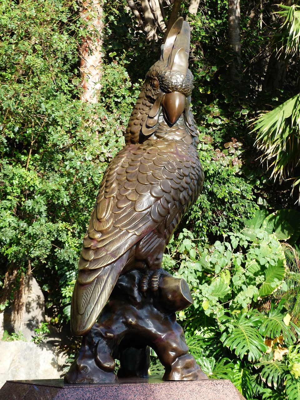 parrot figure bronze statue free photo