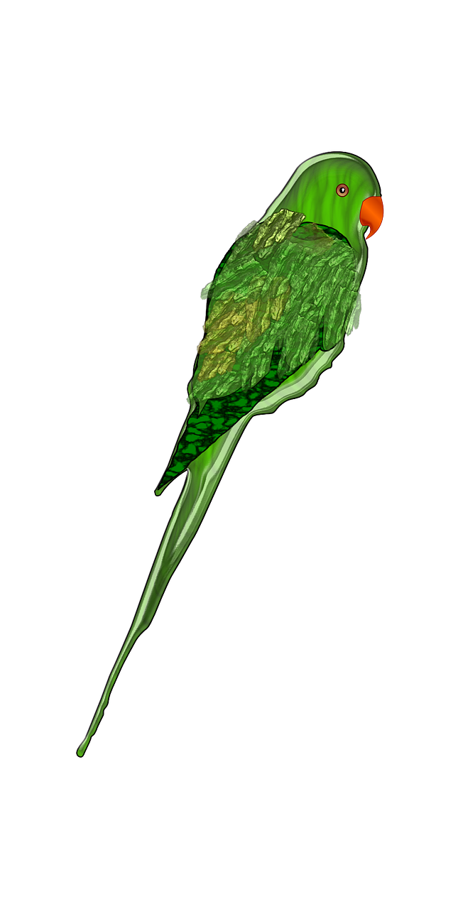 parrot green bird free photo