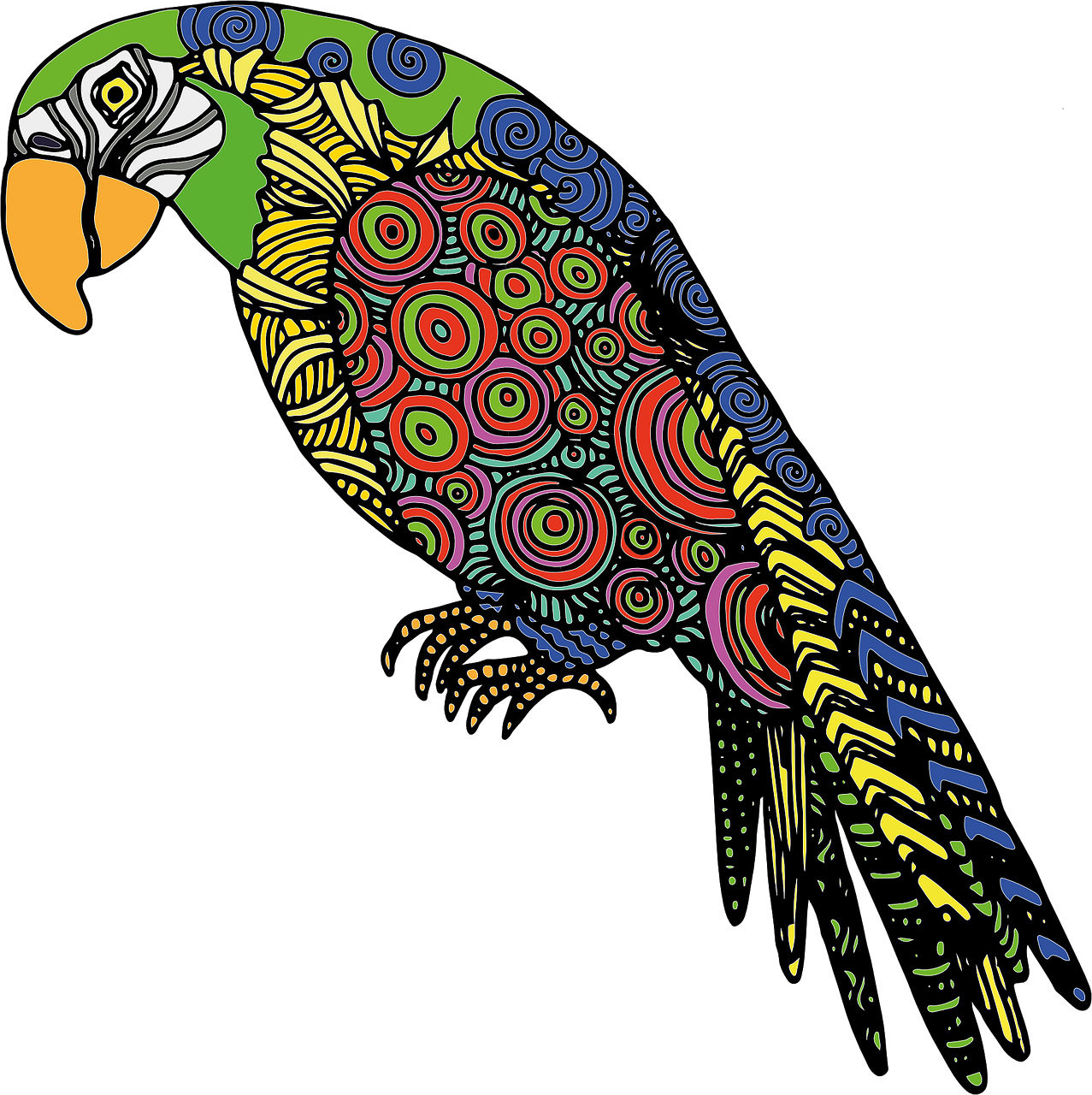 parrot bird colored free photo