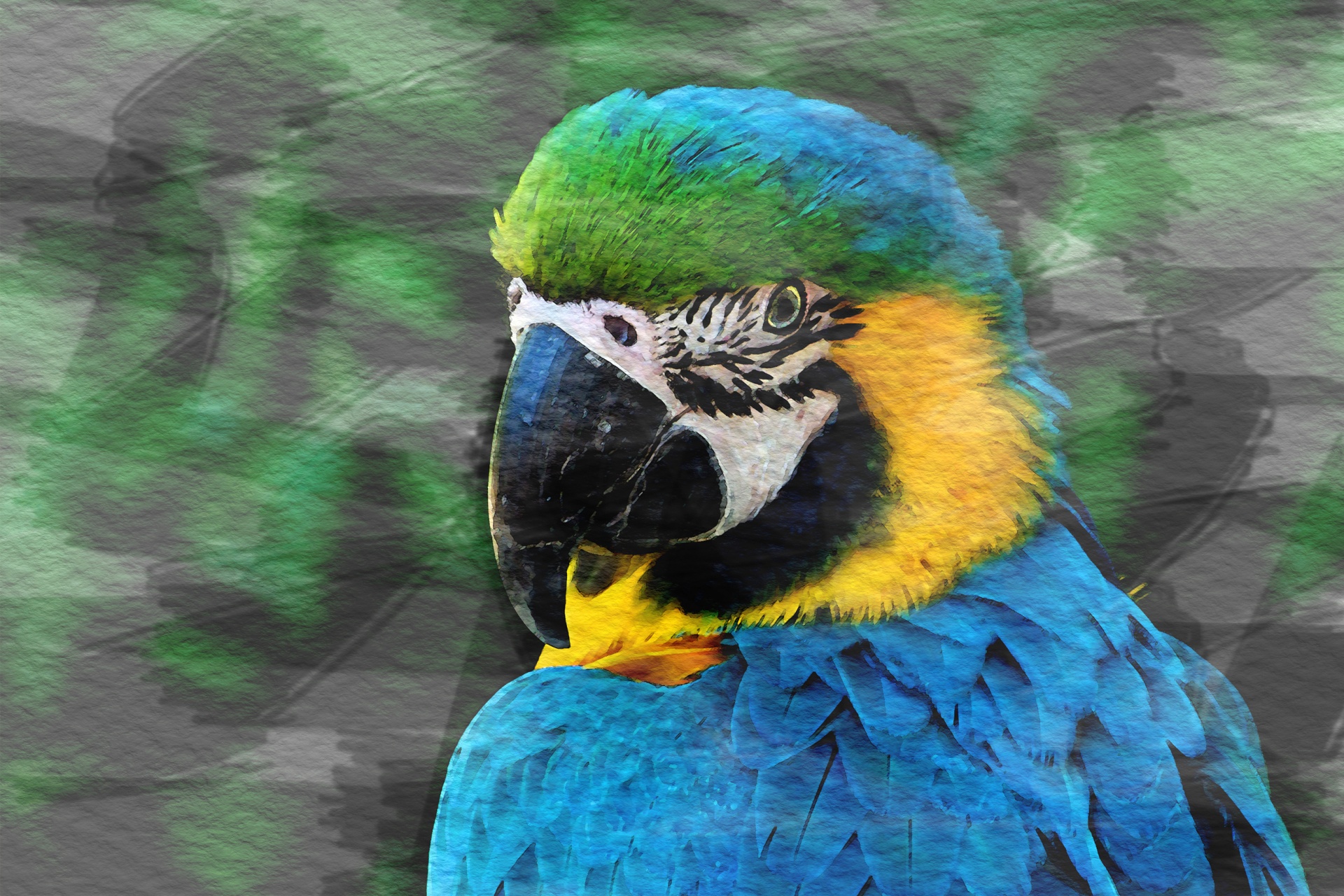 parrot bird watercolor free photo