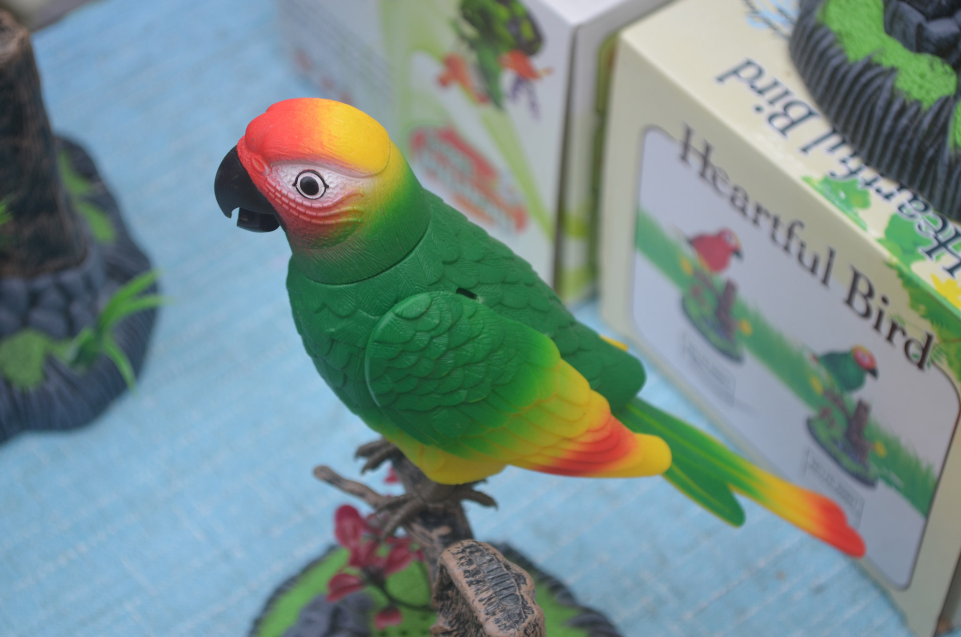 parrot bird toy free photo