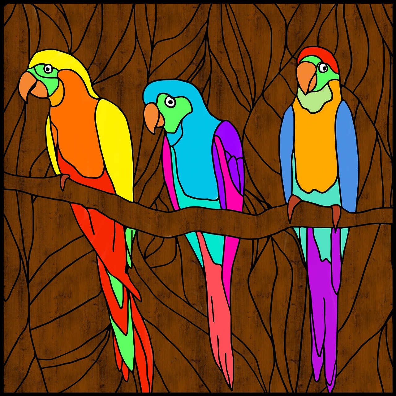 parrots birds bright free photo