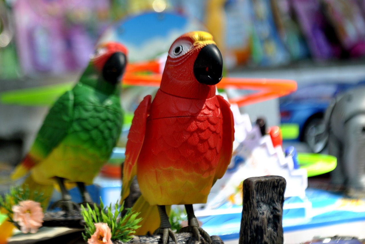 parrots toys plastic free photo