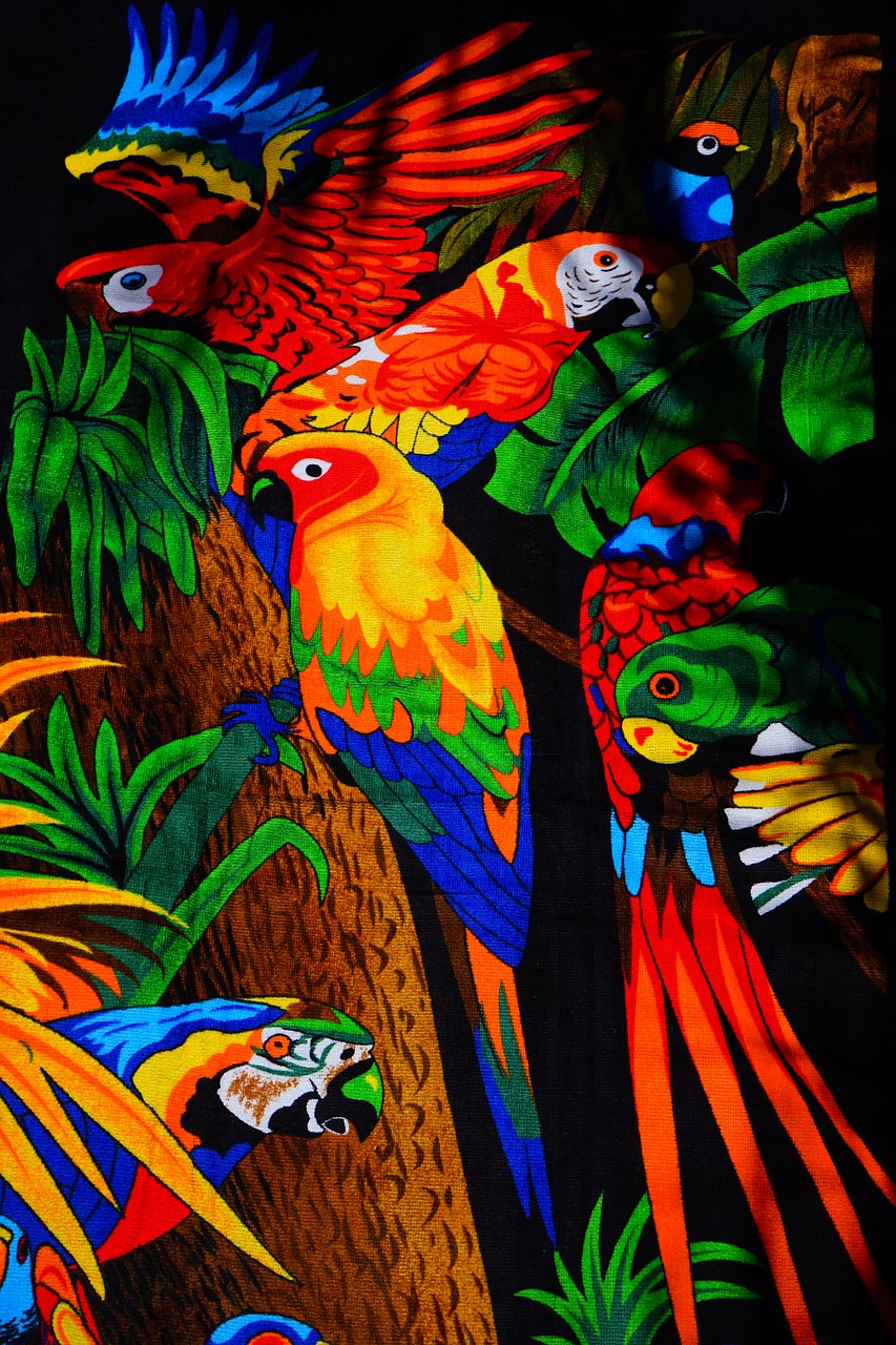 parrots aras lori free photo