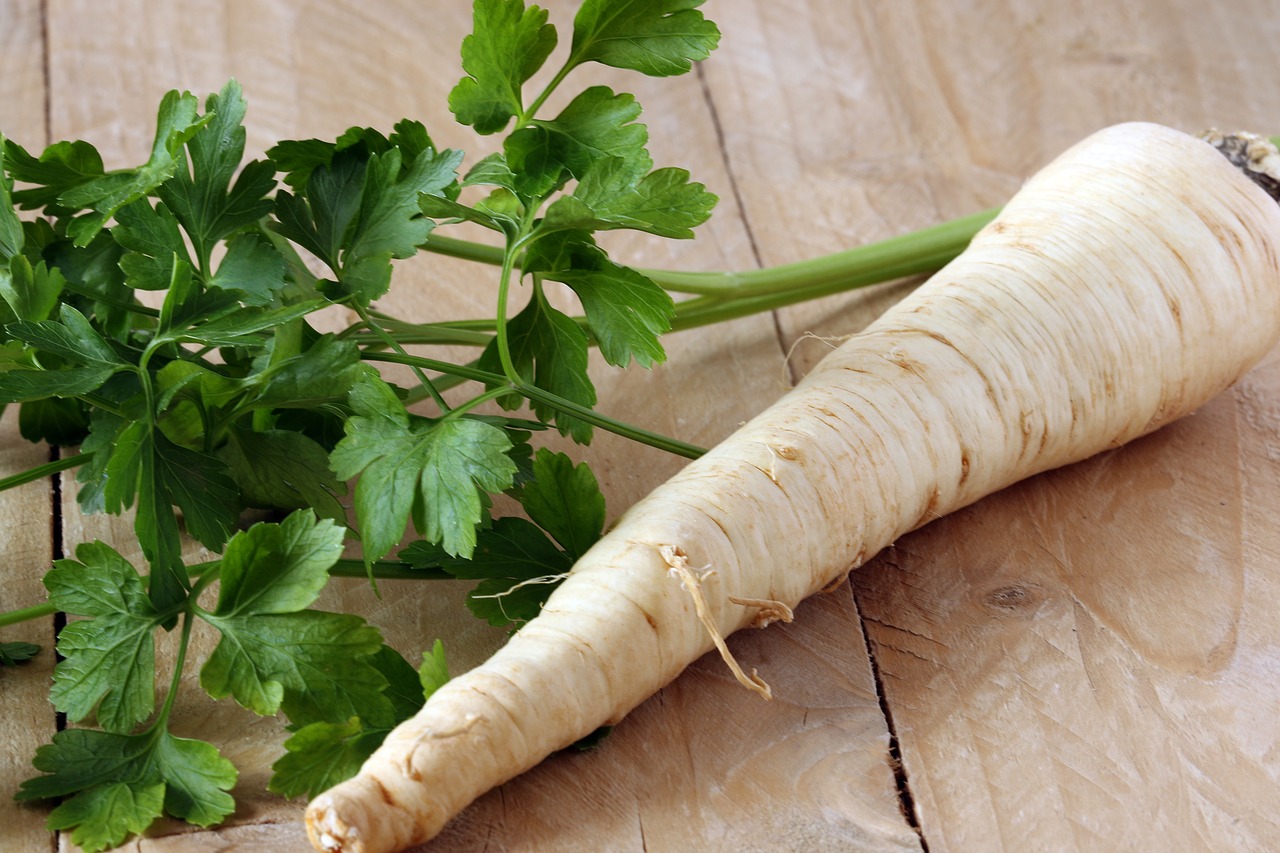 parsley leaves root free photo