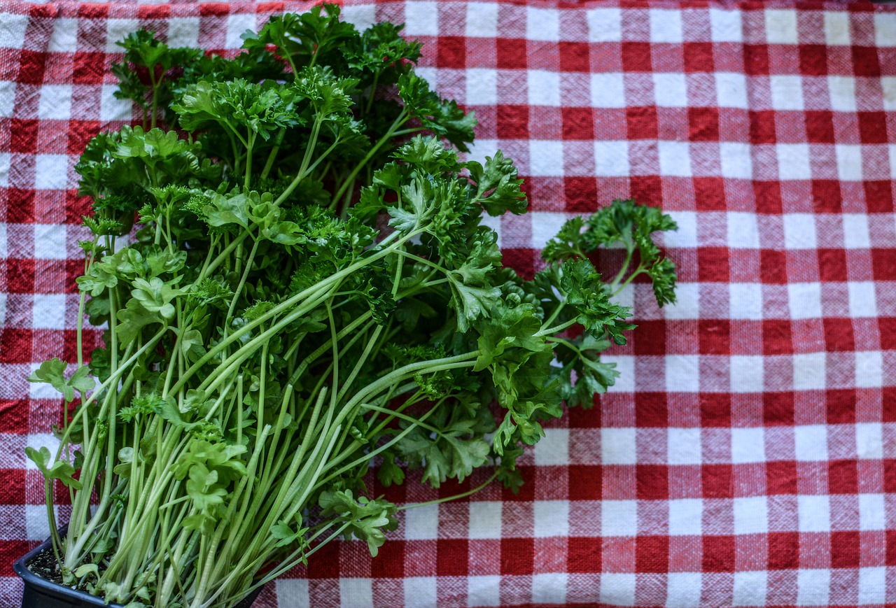 parsley herb kitchen free photo