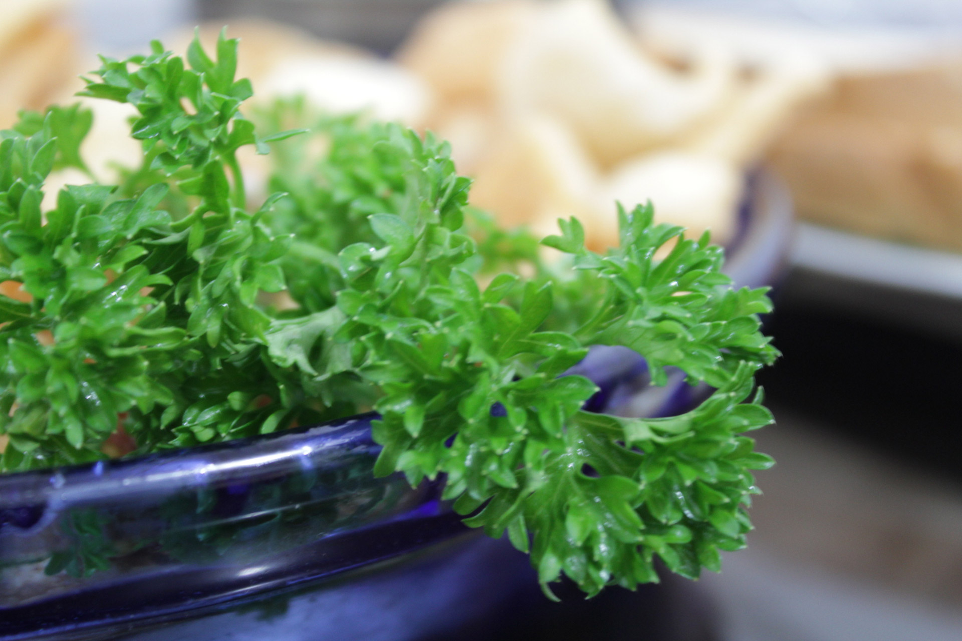 parsley leaves veggie free photo