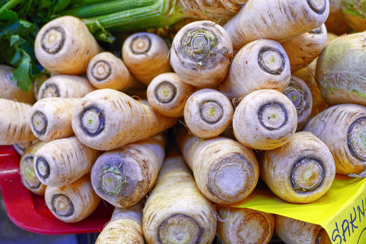 parsnips root vegetables beets free photo