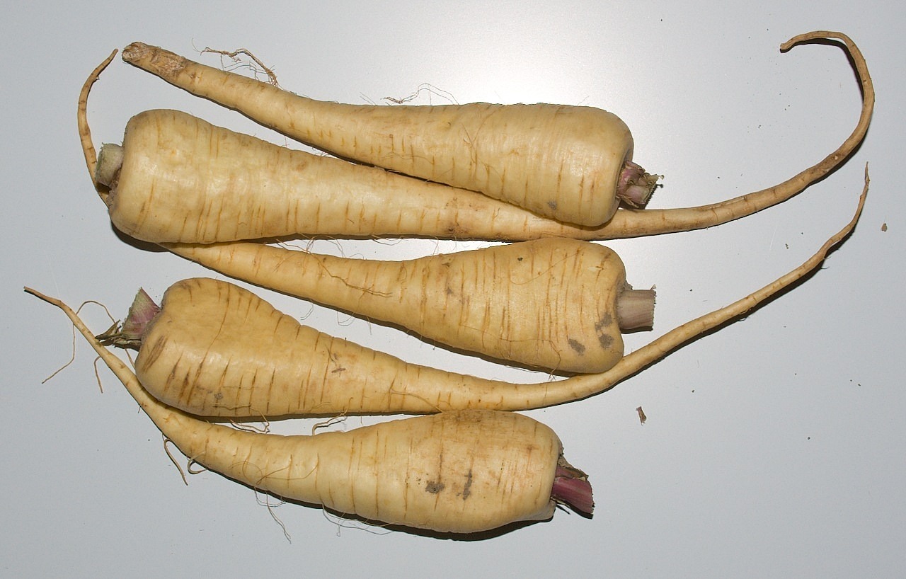 parsnips vegetables ingredient free photo