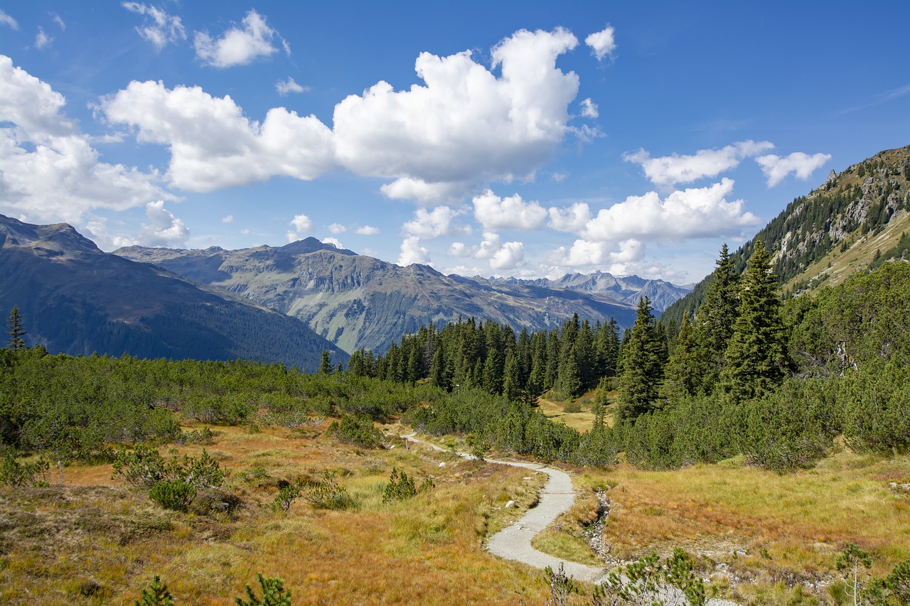 partenen  vorarlberg  austria free photo