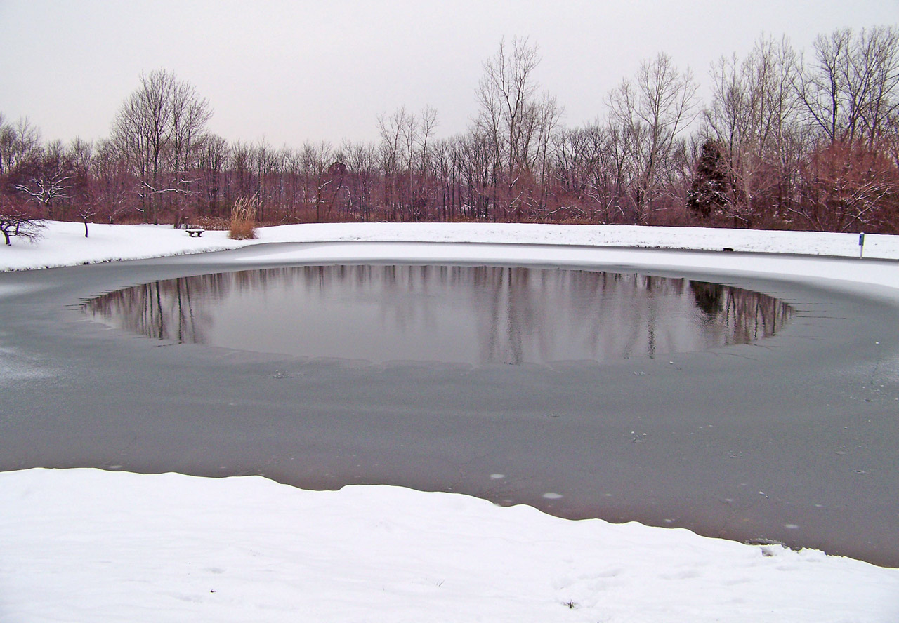 frozen pond winter free photo
