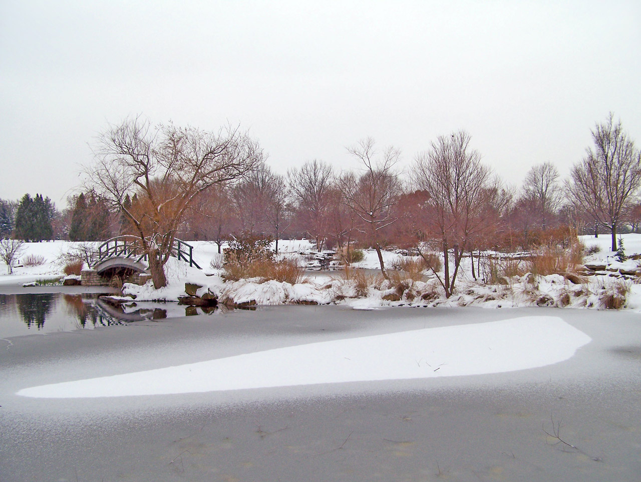 frozen pond ice free photo