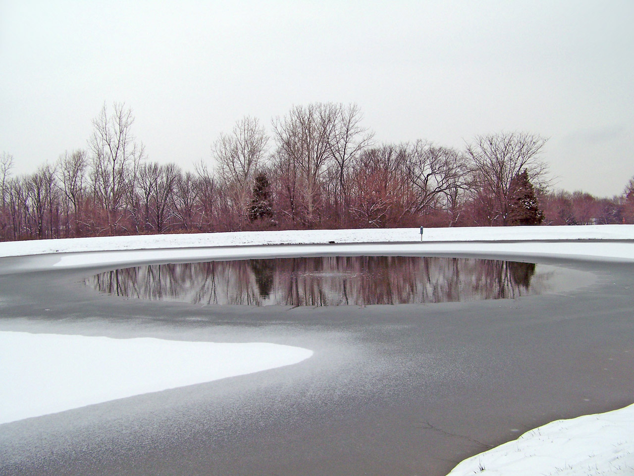 frozen pond ice free photo