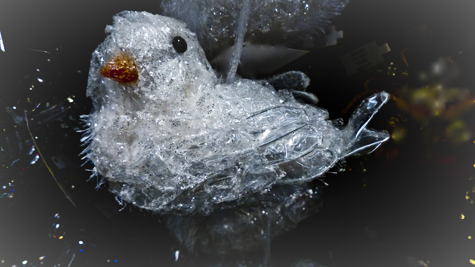 partridge bird ornament free photo