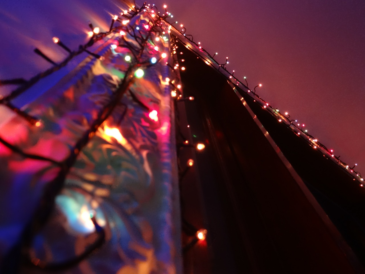 party christmas lights free photo